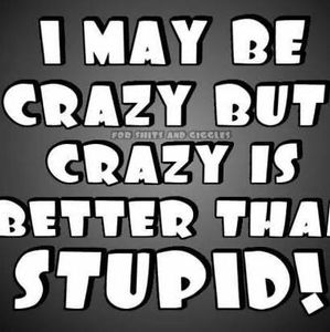 Meet your Posher, Joe